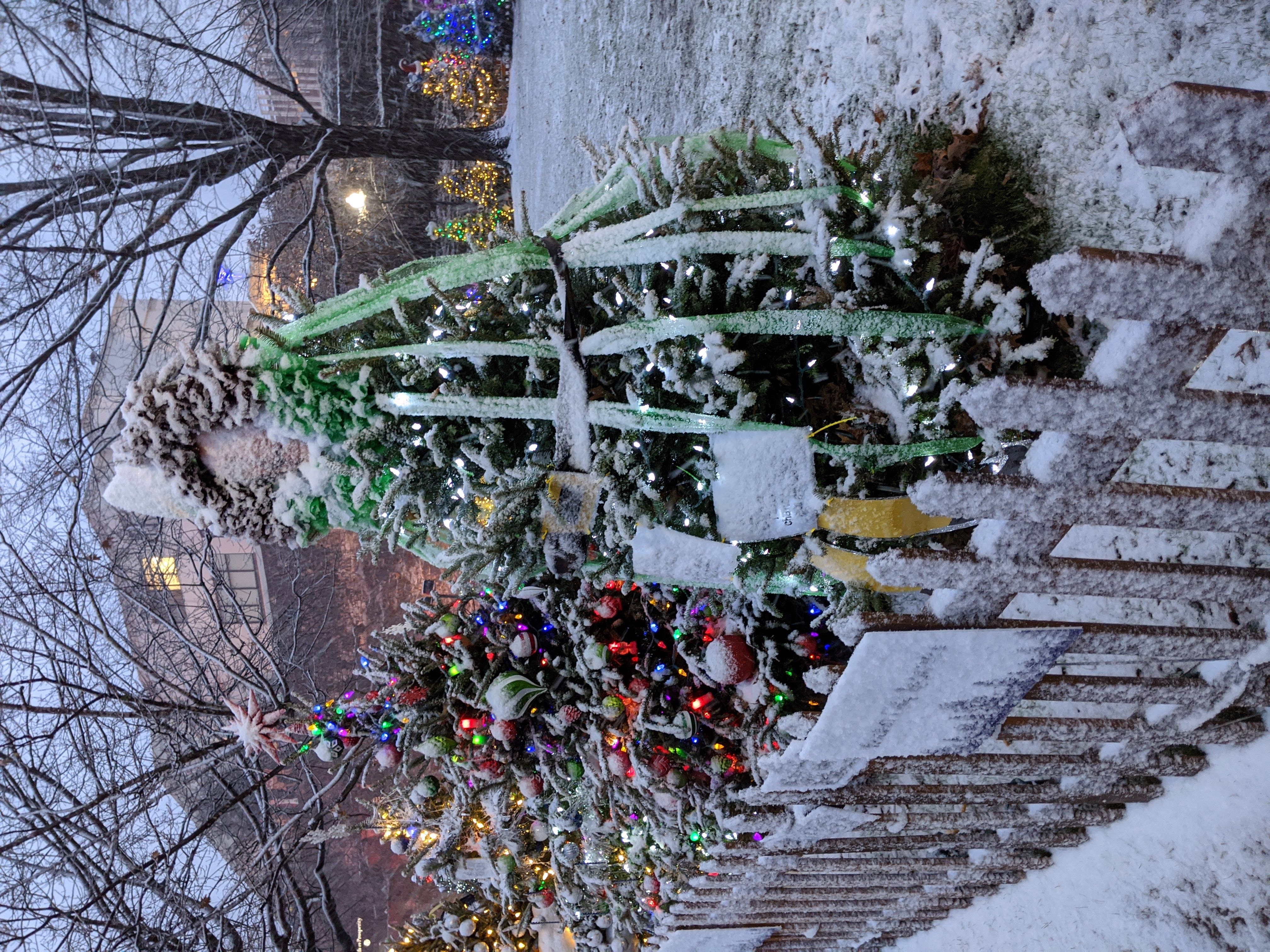 Tinsel Trail 2021